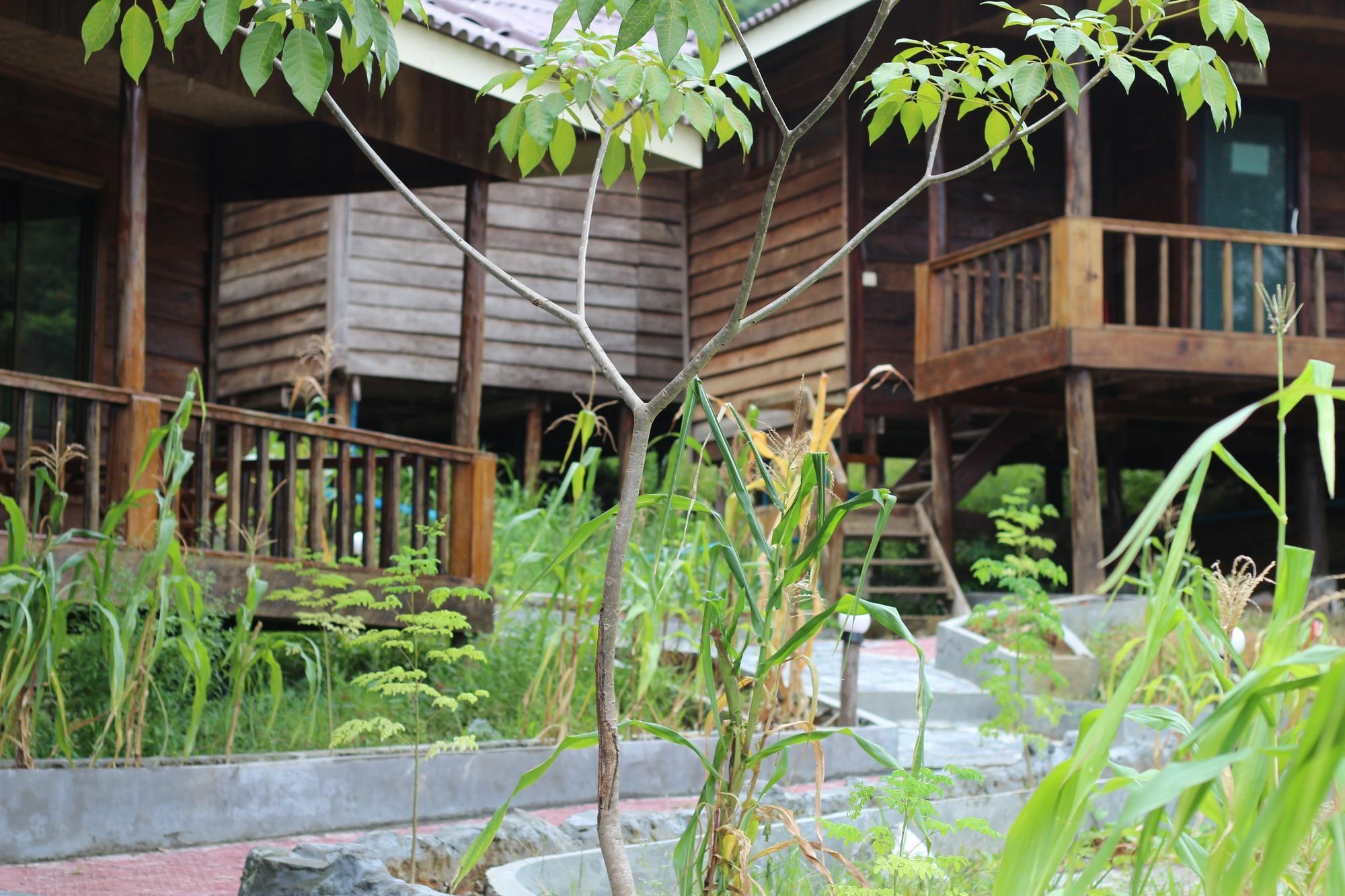 Golden Bungalows Kaoh Touch 外观 照片